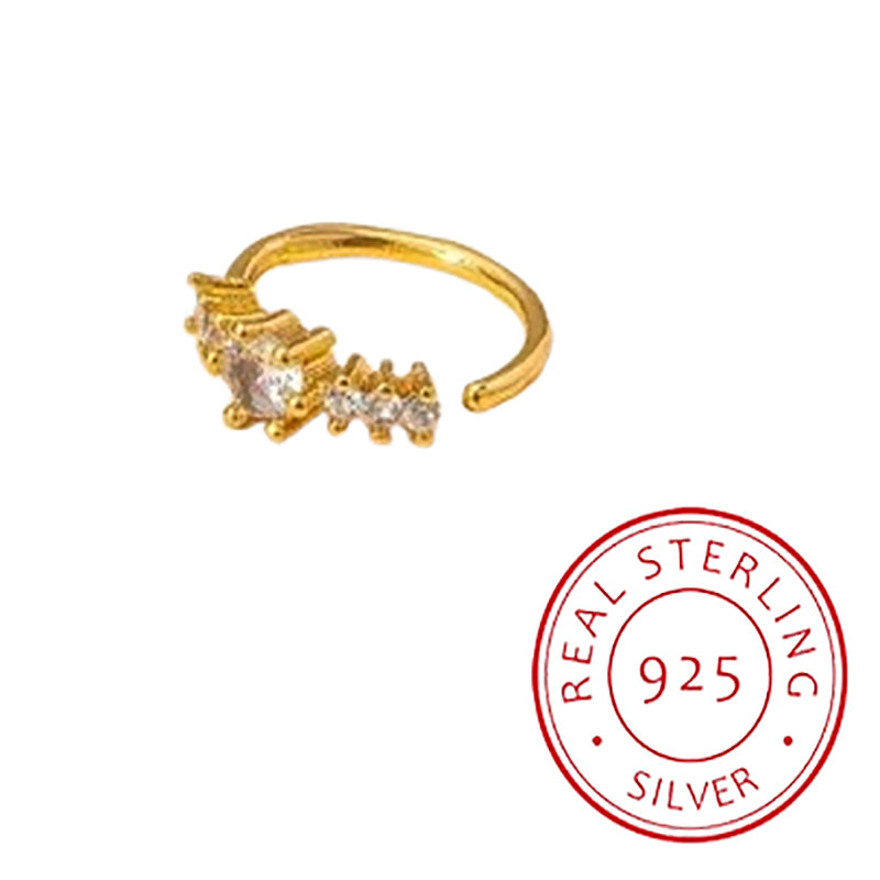 Body Jewelry Materials - Basit Tek Sıra Geometrik S925 Gümüş
